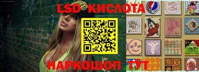 ГАЛЛЮЦИНОГЕННЫЕ ГРИБЫ Можга