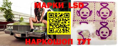 СК Моздок