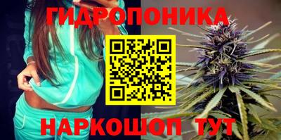 ГАЛЛЮЦИНОГЕННЫЕ ГРИБЫ Можга