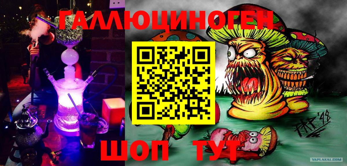 где купить   Псилоцибиновые грибы Magic Shrooms  Вход с VPN  Усть-Джегута 