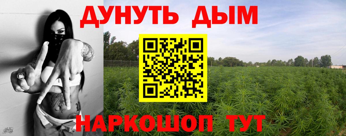 Усть-Джегута  Конопля Amnesia  Канабис White Widow  Бошки марихуана Ganja  Вход с VPN 